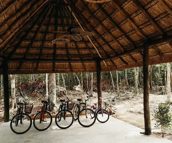 Eco By Biwa Lodge *