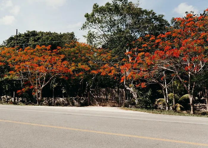 Eco By Biwa Lodge *